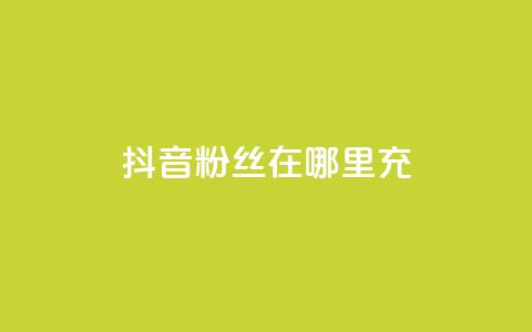 抖音粉丝在哪里充 - 如何在抖音平台给粉丝充值的详细指南!  第1张 抖音粉丝在哪里充 - 如何在抖音平台给粉丝充值的详细指南!  第1张