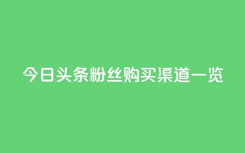 今日头条粉丝购买渠道一览  第1张 今日头条粉丝购买渠道一览  第1张