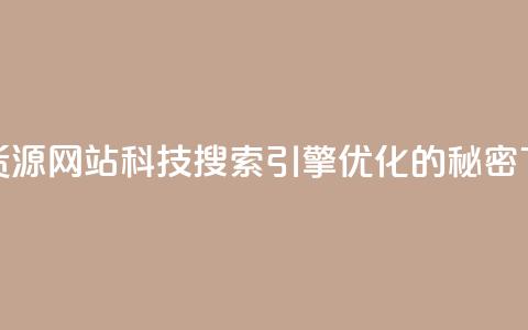 低价货源网站科技:搜索引擎优化的秘密  第1张 低价货源网站科技:搜索引擎优化的秘密  第1张