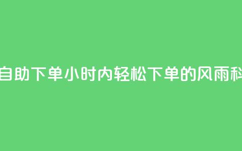 风雨科技24小时自助下单(24小时内轻松下单的风雨科技服务)  第1张 风雨科技24小时自助下单(24小时内轻松下单的风雨科技服务)  第1张