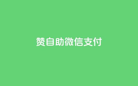 qq赞自助微信支付 - 使用微信支付快速获取qq赞的自助方法~  第1张 qq赞自助微信支付 - 使用微信支付快速获取qq赞的自助方法~  第1张