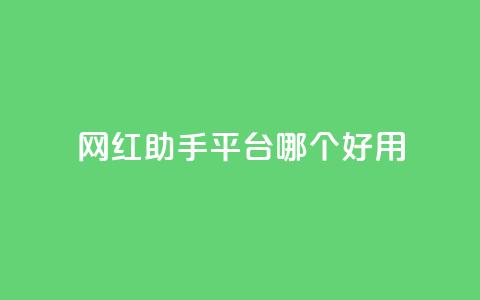 网红助手平台哪个好用,dy点赞充值秒到账 - KS业务下单平台不掉粉 抖音业务下单秒到账  第1张 网红助手平台哪个好用,dy点赞充值秒到账 - KS业务下单平台不掉粉 抖音业务下单秒到账  第1张
