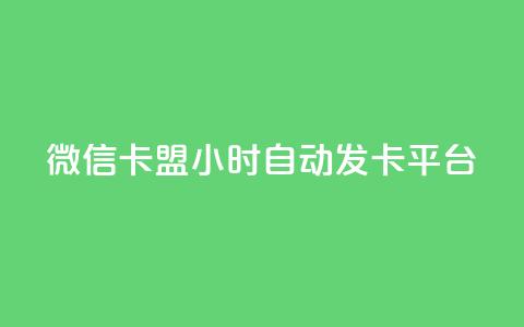 微信卡盟24小时自动发卡平台 - 微信卡盟：稳定发卡平台  24小时自动发卡，快速、便捷的购卡体验。 第1张
