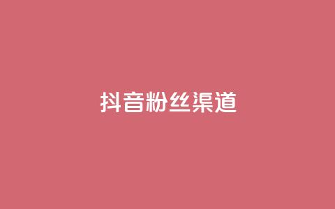 抖音粉丝渠道 - 如何通过抖音提高粉丝获取渠道的效果!  第1张 抖音粉丝渠道 - 如何通过抖音提高粉丝获取渠道的效果!  第1张