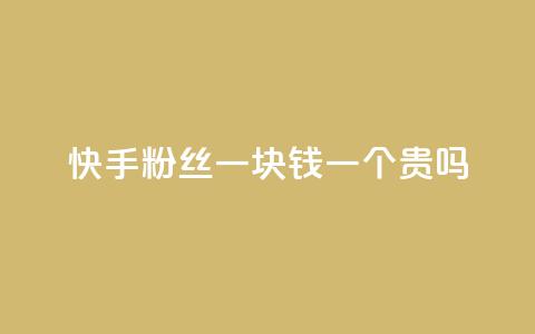 快手粉丝一块钱一个贵吗 - 快手粉丝一元一个是否值得购买解析!  第1张 快手粉丝一块钱一个贵吗 - 快手粉丝一元一个是否值得购买解析!  第1张