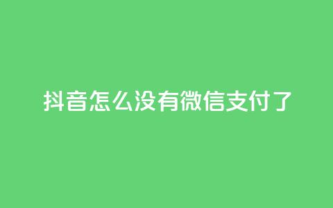 抖音怎么没有微信支付了  第1张 抖音怎么没有微信支付了  第1张