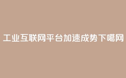工业互联网平台加速成势  第1张 工业互联网平台加速成势  第1张