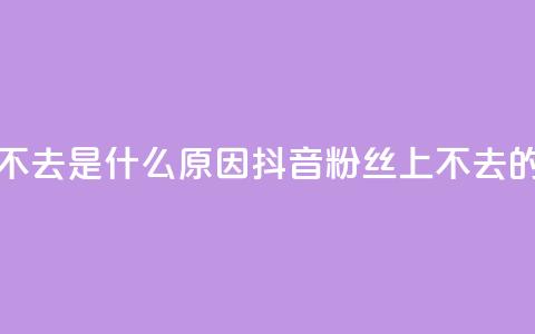 抖音粉丝上不去是什么原因(抖音粉丝上不去的原因)  第1张 抖音粉丝上不去是什么原因(抖音粉丝上不去的原因)  第1张