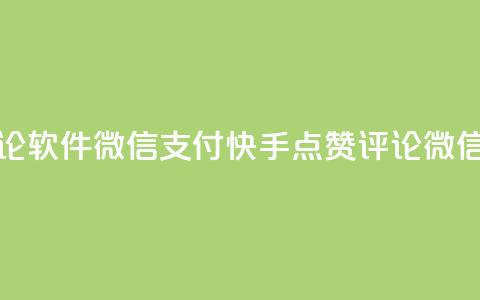 快手点赞评论软件微信支付(快手点赞评论微信支付)  第1张 快手点赞评论软件微信支付(快手点赞评论微信支付)  第1张