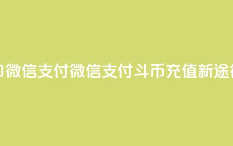 斗币充值入口微信支付 - 微信支付斗币充值新途径解析!  第1张 斗币充值入口微信支付 - 微信支付斗币充值新途径解析!  第1张