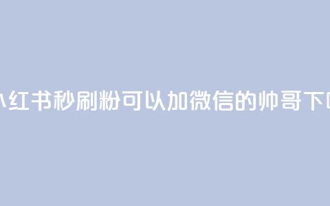 1元小红书秒刷1000粉 - 可以加微信的帅哥  第1张 1元小红书秒刷1000粉 - 可以加微信的帅哥  第1张