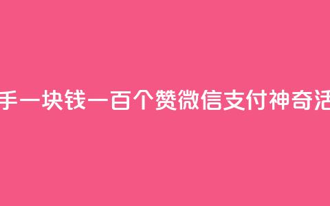 快手一块钱一百个赞微信支付神奇活动  第1张 快手一块钱一百个赞微信支付神奇活动  第1张