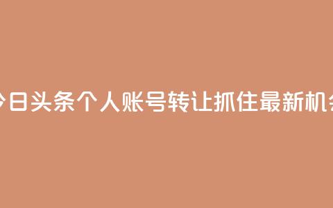 今日头条个人账号转让:抓住最新机会  第1张 今日头条个人账号转让:抓住最新机会  第1张