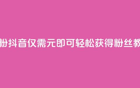 抖音1元刷1000粉 - 抖音仅需1元即可轻松获得1000粉丝教程。  第1张