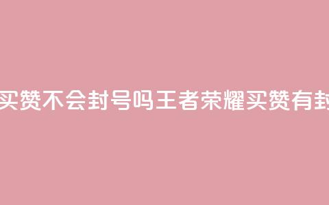 王者荣耀买赞不会封号吗(王者荣耀买赞有封号风险吗?)  第1张 王者荣耀买赞不会封号吗(王者荣耀买赞有封号风险吗?)  第1张