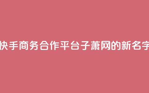 快手商务合作平台子萧网的新名字  第1张 快手商务合作平台子萧网的新名字  第1张