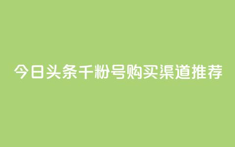 今日头条千粉号购买渠道推荐  第1张 今日头条千粉号购买渠道推荐  第1张