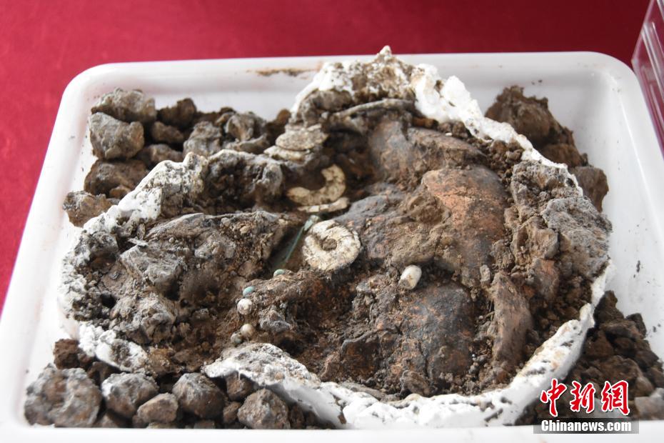 【何以中国 行走河南】走进河南永城王庄遗址  感受5000年前大汶口文化聚落的礼制内涵 第2张 【何以中国 行走河南】走进河南永城王庄遗址  感受5000年前大汶口文化聚落的礼制内涵 第2张