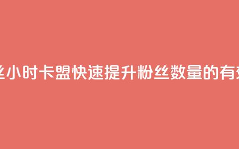 24小时卡盟粉丝 - 24小时卡盟：快速提升粉丝数量的有效策略。  第1张