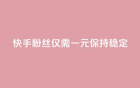 快手10000粉丝仅需一元保持稳定  第1张