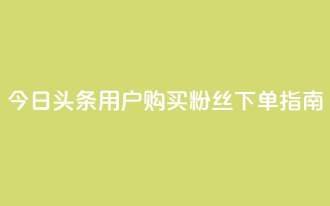 今日头条用户购买粉丝下单指南  第1张 今日头条用户购买粉丝下单指南  第1张