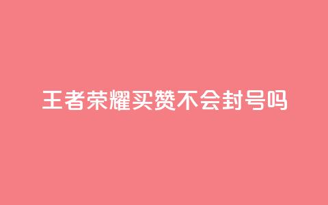 王者荣耀买赞不会封号吗 - 一元买赞100个赞  第1张 王者荣耀买赞不会封号吗 - 一元买赞100个赞  第1张