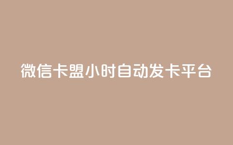 微信卡盟24小时自动发卡平台 - 最佳SEO实践:全天候自动发卡平台,微信卡盟买卡24小时服务~  第1张 微信卡盟24小时自动发卡平台 - 最佳SEO实践:全天候自动发卡平台,微信卡盟买卡24小时服务~  第1张