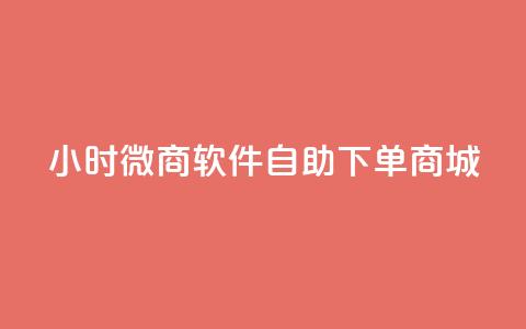 24小时微商软件自助下单商城,自助下单全网最低价ks - b站播放量业务自助平台 dy自助商城  第1张