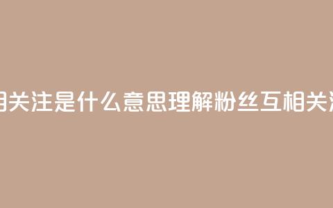 粉丝互相关注是什么意思(理解粉丝互相关注的含义)  第1张 粉丝互相关注是什么意思(理解粉丝互相关注的含义)  第1张
