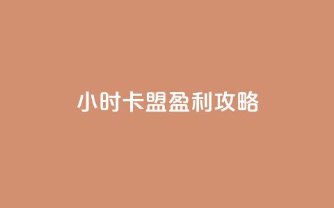 24小时卡盟盈利攻略  第1张 24小时卡盟盈利攻略  第1张