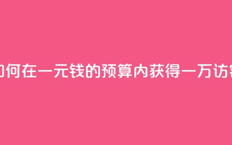 如何在一元钱的预算内获得一万访客?  第1张 如何在一元钱的预算内获得一万访客?  第1张