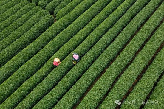 新茶饮还能卷什么?  第2张 新茶饮还能卷什么?  第2张
