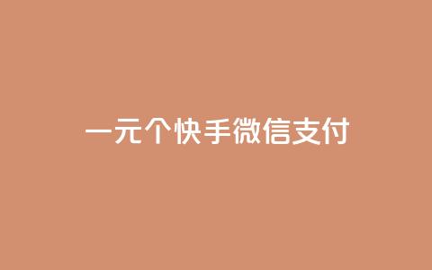 一元10个快手微信支付 - 快手点器怎样使用视频教程  第1张 一元10个快手微信支付 - 快手点器怎样使用视频教程  第1张