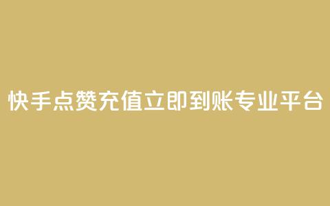 快手点赞充值立即到账专业平台  第1张 快手点赞充值立即到账专业平台  第1张