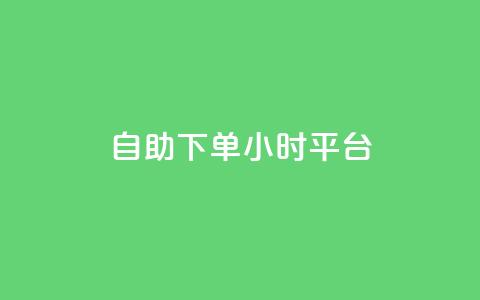 自助下单24小时平台 - 全天候在线自助下单服务!  第1张 自助下单24小时平台 - 全天候在线自助下单服务!  第1张