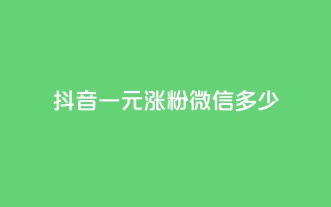 抖音一元涨粉1000微信多少 - 千叶卡盟  第1张 抖音一元涨粉1000微信多少 - 千叶卡盟  第1张