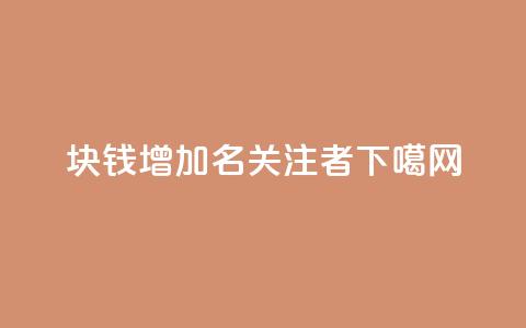 1块钱增加100名关注者  第1张 1块钱增加100名关注者  第1张