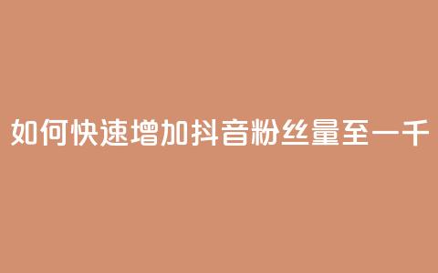 如何快速增加抖音粉丝量至一千?  第1张 如何快速增加抖音粉丝量至一千?  第1张