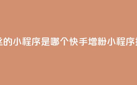 快手涨粉丝的小程序是哪个(快手增粉小程序推荐)  第1张 快手涨粉丝的小程序是哪个(快手增粉小程序推荐)  第1张