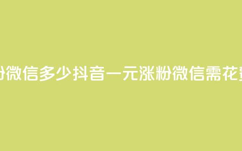 抖音一元涨粉1000微信多少 - 抖音一元涨粉1000微信需花费多少~  第1张 抖音一元涨粉1000微信多少 - 抖音一元涨粉1000微信需花费多少~  第1张