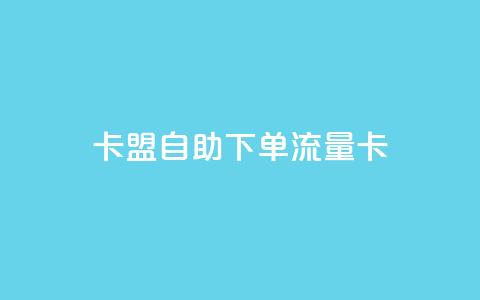 卡盟自助下单流量卡 - 如何购买自助下单流量卡?SEO编辑带你一步步了解!  第1张 卡盟自助下单流量卡 - 如何购买自助下单流量卡?SEO编辑带你一步步了解!  第1张