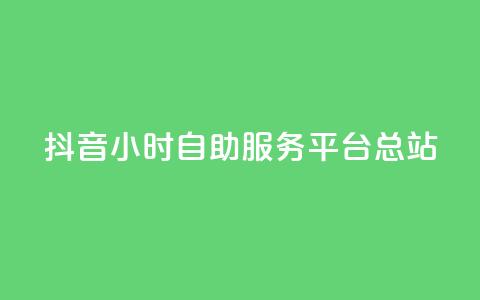 抖音24小时自助服务平台总站 - 抖音24小时自助服务平台全新上线!  第1张 抖音24小时自助服务平台总站 - 抖音24小时自助服务平台全新上线!  第1张