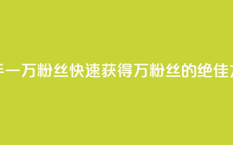 快手一万粉丝(快速获得1万粉丝的绝佳方法)  第1张 快手一万粉丝(快速获得1万粉丝的绝佳方法)  第1张