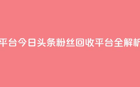 今日头条粉丝回收平台 - 今日头条粉丝回收平台全解析与使用指南!  第1张 今日头条粉丝回收平台 - 今日头条粉丝回收平台全解析与使用指南!  第1张