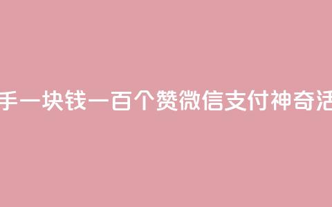 快手一块钱一百个赞微信支付神奇活动  第1张 快手一块钱一百个赞微信支付神奇活动  第1张