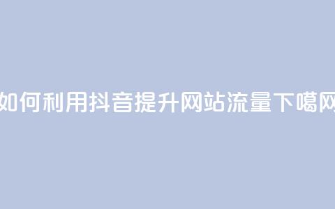 如何利用抖音提升网站流量  第1张 如何利用抖音提升网站流量  第1张