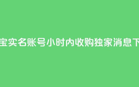 支付宝实名账号24小时内收购--独家消息  第1张 支付宝实名账号24小时内收购--独家消息  第1张
