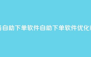 dy业务自助下单软件(自助下单软件优化标题)