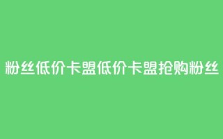 dy粉丝低价卡盟(低价卡盟，抢购dy粉丝！)