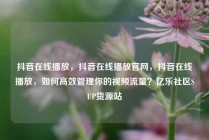 抖音在线播放,抖音在线播放官网,抖音在线播放,如何高效管理你的视频流量?亿乐社区SUP货源站